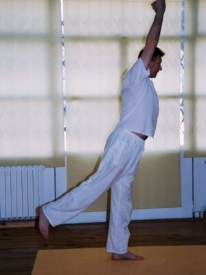 Ref  11 Séance Yoga traditionnel "Défendre les vrais valeurs" avec Veerabhadra ,  en audio avec Bernard S 40  8 pages Pdf Textes + Images + Sons Mp3 1h10