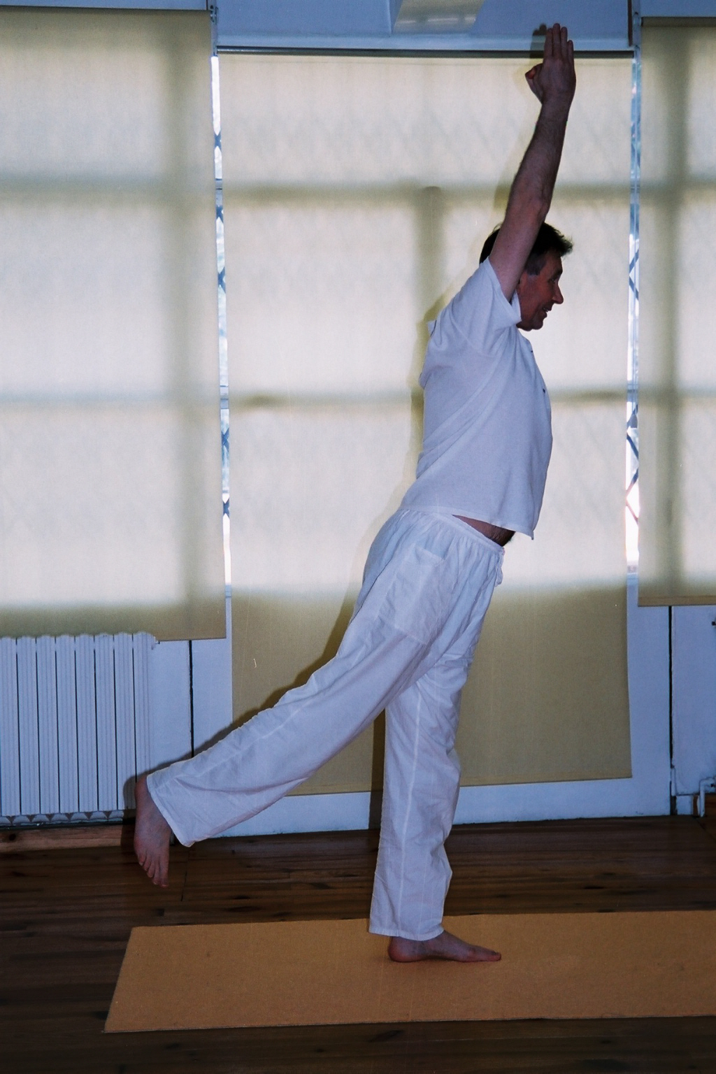 Ref 11 Séance Yoga traditionnel "Défendre les vrais valeurs" avec Veerabhadra , en audio avec Bernard S 40 8 pages Pdf Textes + Images + Sons Mp3 1h10