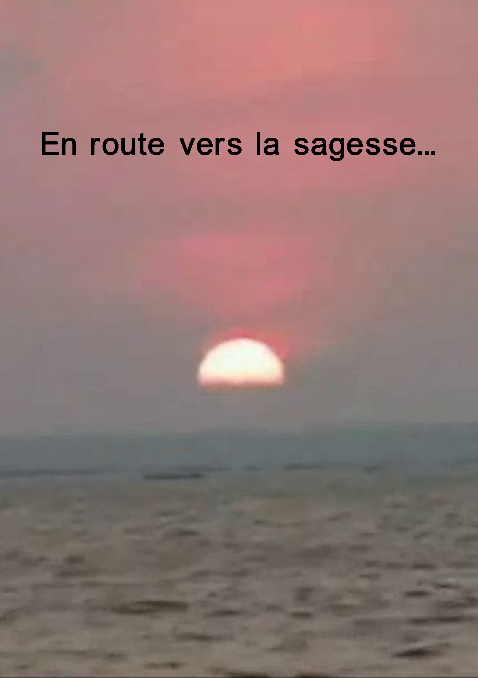 Ref 1501 En route vers la sagesse Sélection d'articles de Bernard Prolat PDF 20 pages