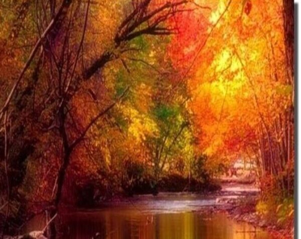 L'automne, c'est le moment...