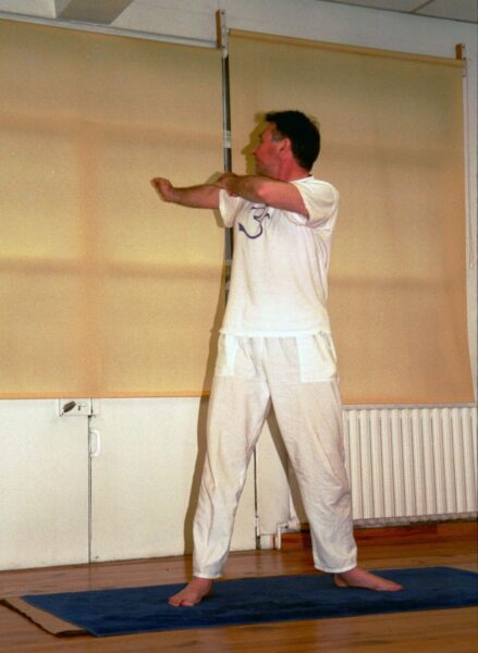 Asana, Postures en torsion