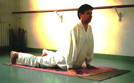39 Bhujanga asana Le cobra Document PDF