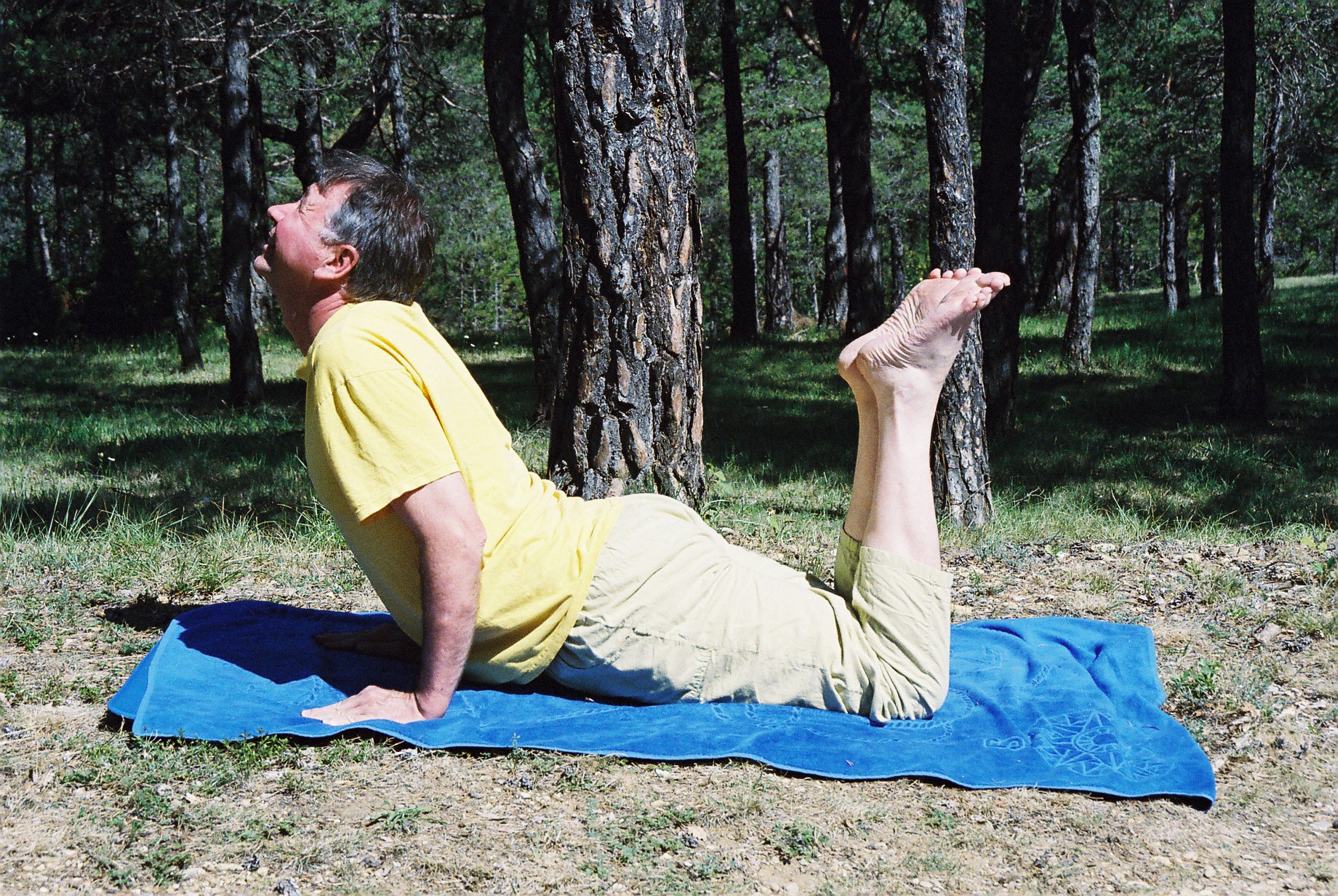 39 Bhujanga asana le cobra Vidéo