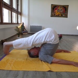 42 Hala asana Document PDF