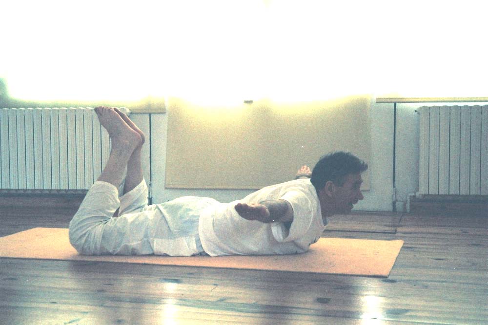 22 Tittibha asana Le vanneau Document PDF