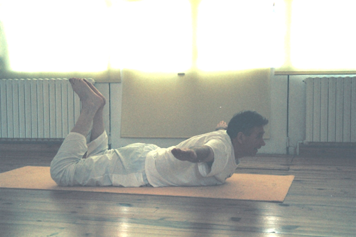 22 Tittibha asana le vanneau Vidéo