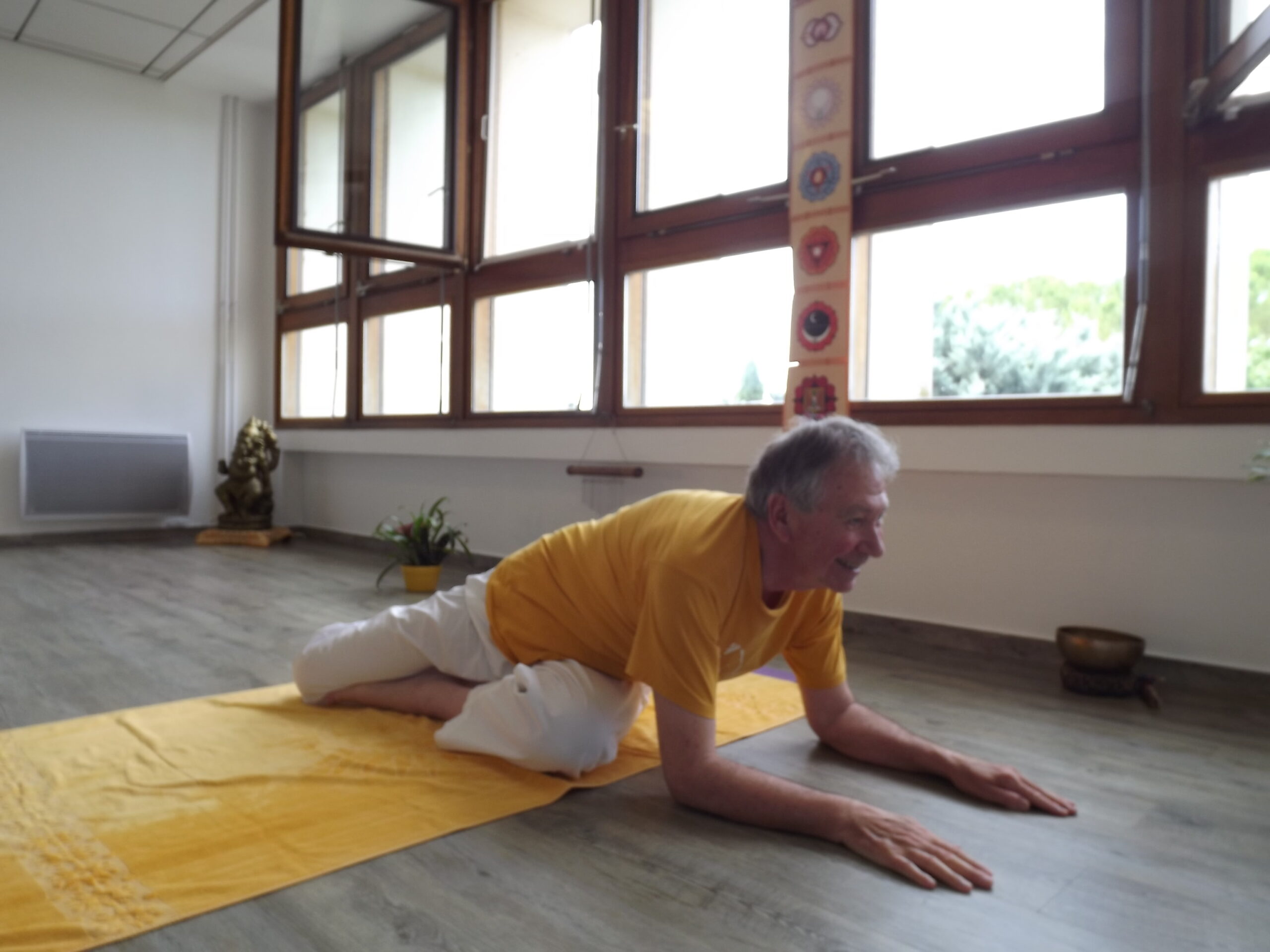 71 Verasanaparvabhunamaskara asana La vérité intérieure Document PDF
