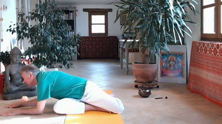 71 Verasanaparvabhunamaskara asana La vérité de notre être