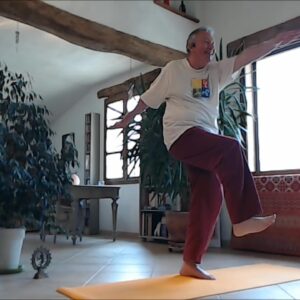 79 Tandava asana Vidéo
