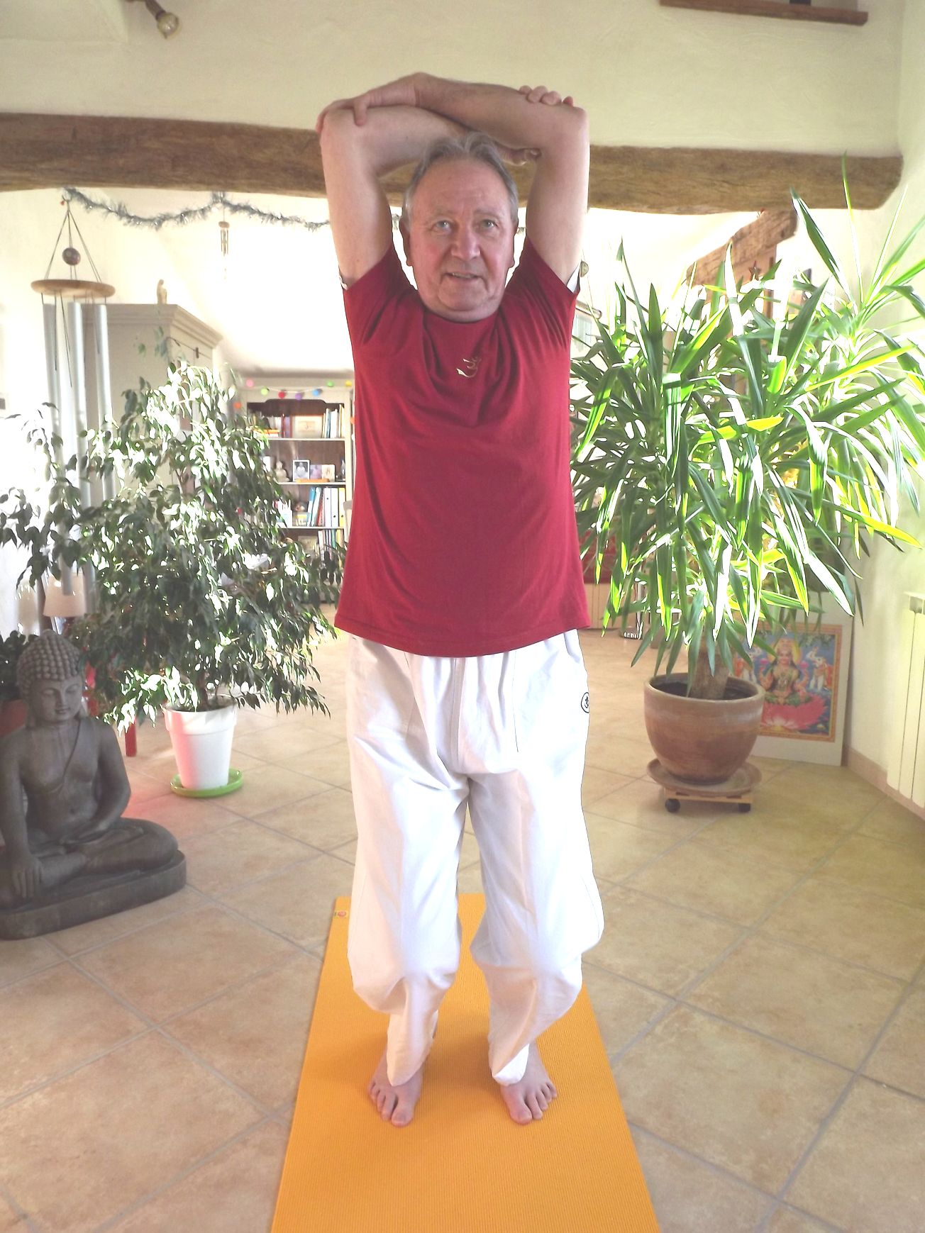 2 Urdva purusha akasha asana Vidéo