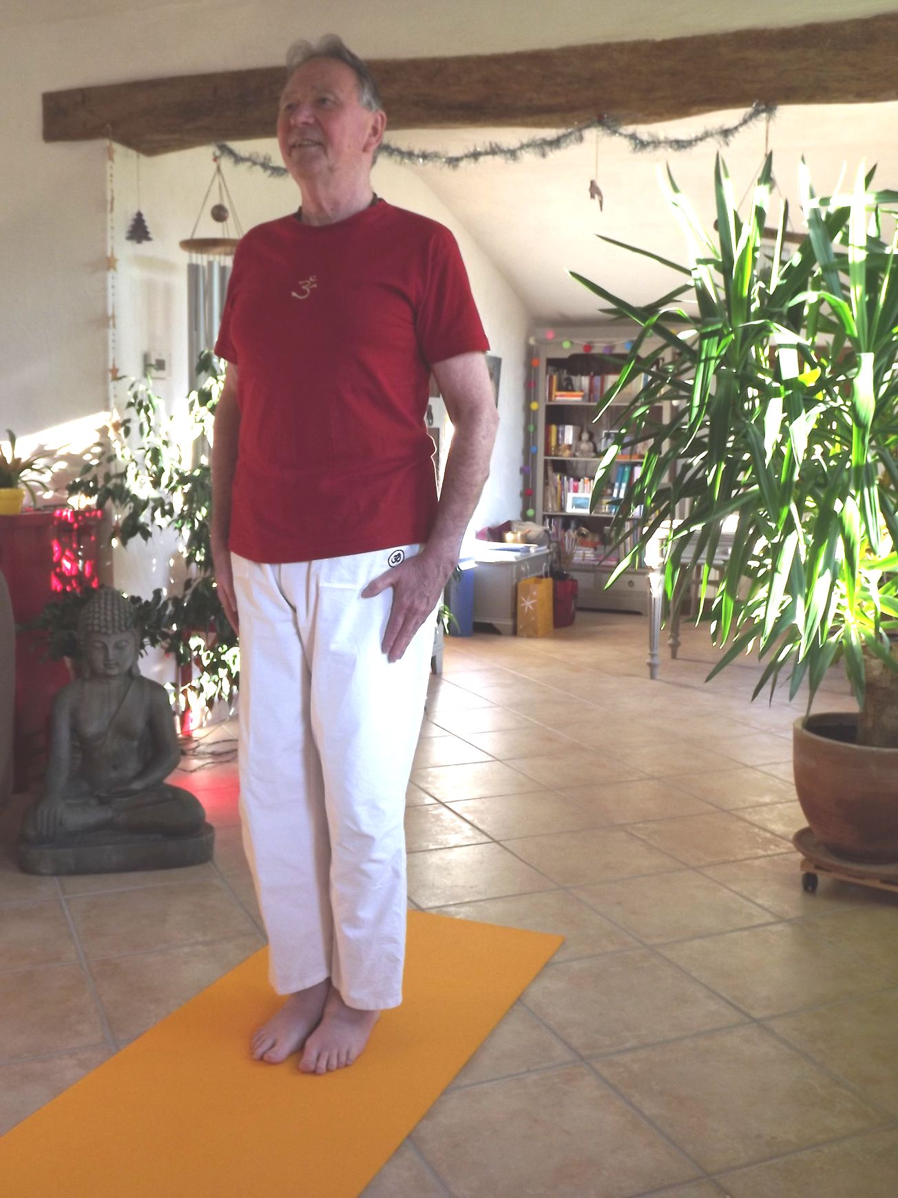 2 Urdva purusha akasha asana Document PDF
